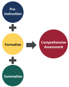 diagram with 4 circles (green, blue, yellow and red colors) outlining comprehensive assessment. 
