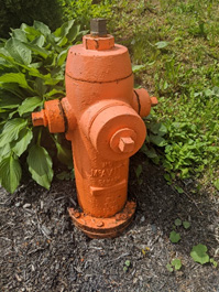 Orange fire hydrant positioned in front of leafy green plants.
