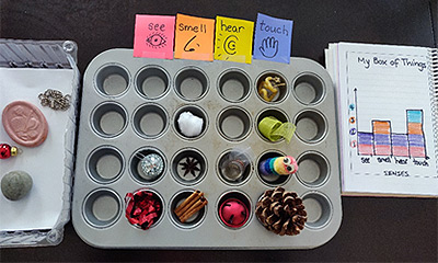 24-cup mini muffin tin with objects organized by sensory features (see, smell, hear, touch). Print graph of what is represented in the muffin tin to the right. Unsorted objects on left.