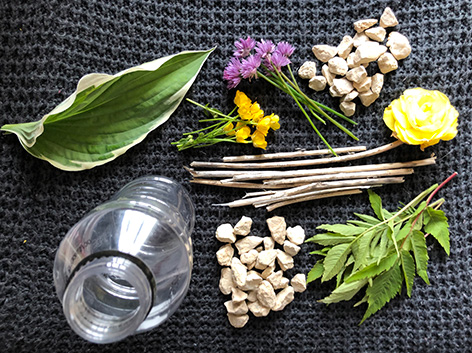 a collection of leaves, flowers, rocks, sticks and an empty Powerade bottle