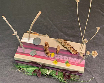 A closed shoe box with lid. The box has outdoor objects attached to the top and sides that include rocks, pinecones, dandelion flowers, tree leaves, long grass, dried plants with seed pods, and several small sticks. Some sticks are standing upright from the top of the lid
